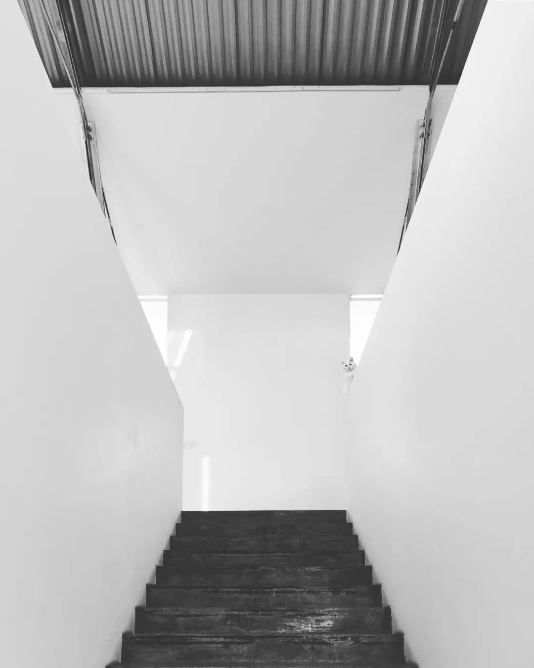 職場萌新指南 · 大舍建筑｜“即物即境”：二十年詩理哲學(xué)的建筑實踐13.jpg