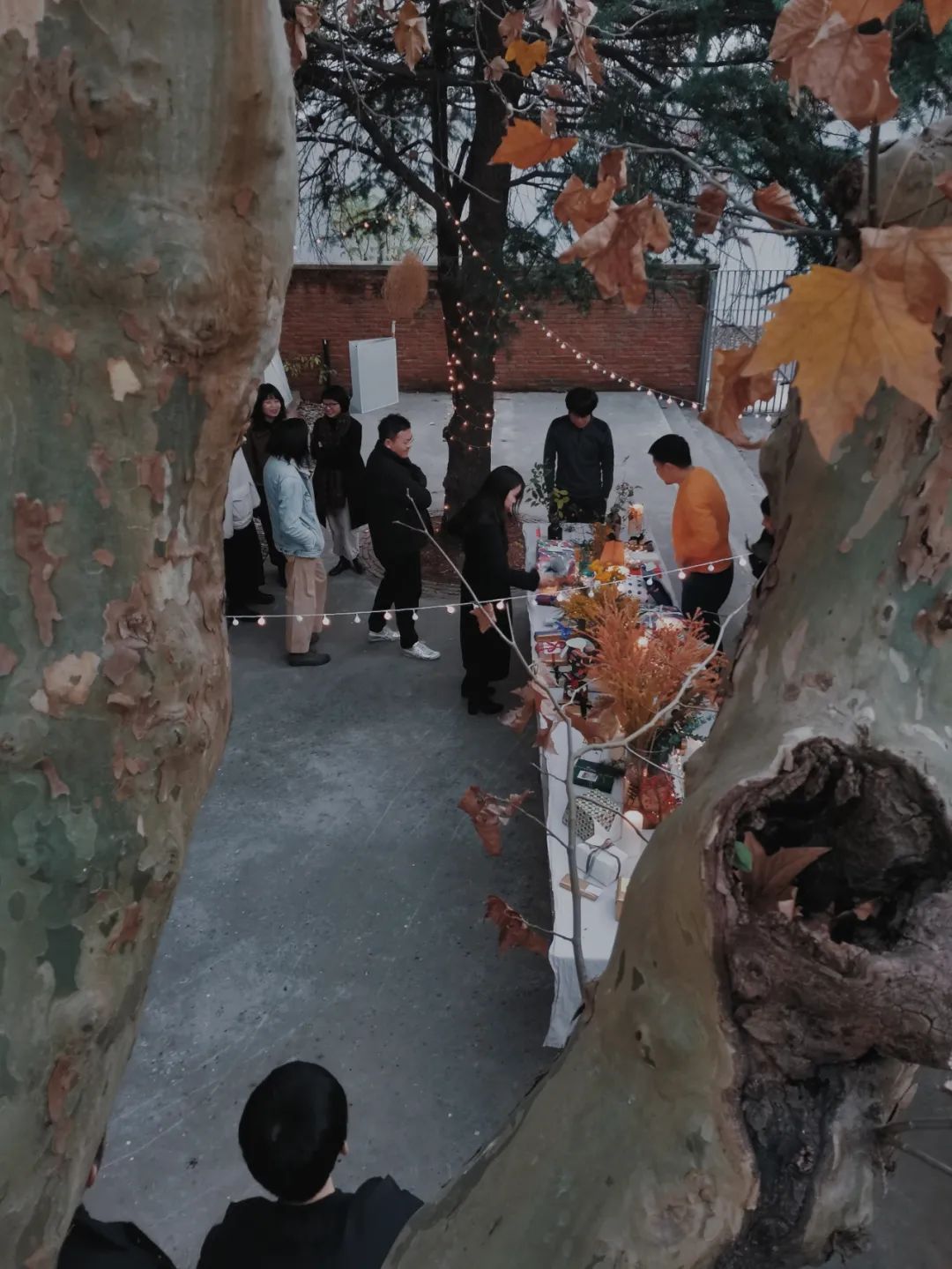 職場萌新指南 · 大舍建筑｜“即物即境”：二十年詩理哲學(xué)的建筑實踐22.jpg