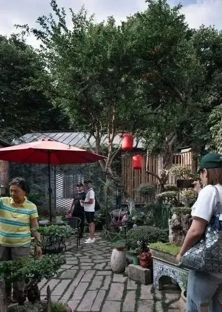 南京小西湖，建筑師聯(lián)手居民，“復(fù)活”明清街巷12.jpg