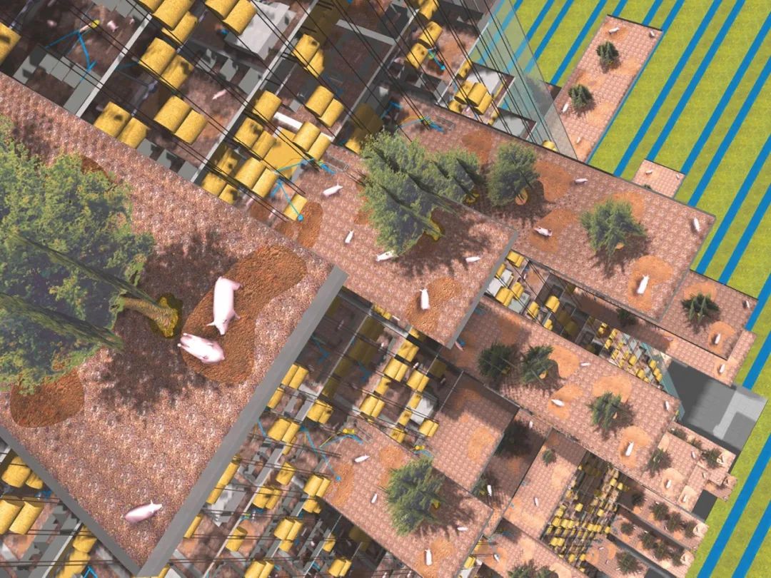 Me  Master 專篇｜李馳  MVRDV：理性出發(fā)，創(chuàng)意呈現(xiàn)4.jpg
