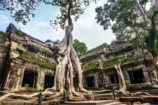 1766654422303195HdNc.png 圖片 18.png