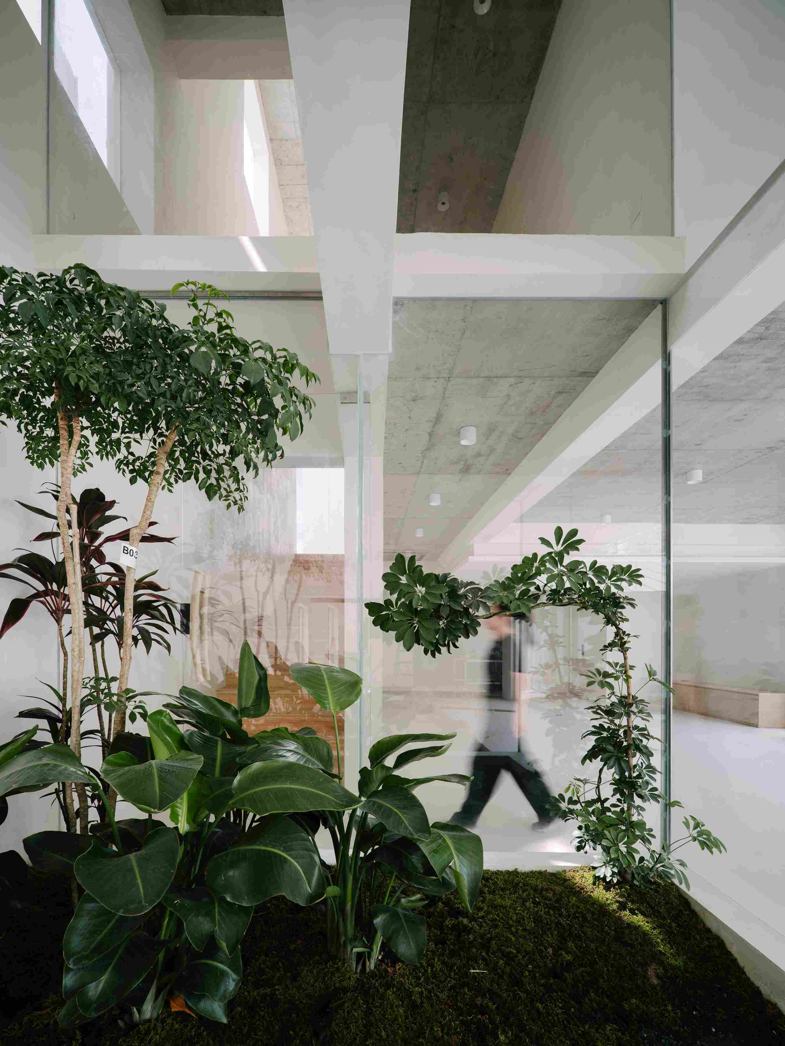 1770015085101671X0m3.jpg 21_Semi-Outdoor Courtyard in the Interstitial Space 利用原本兩棟建筑間的間隙做了半戶外庭院_6.jpg