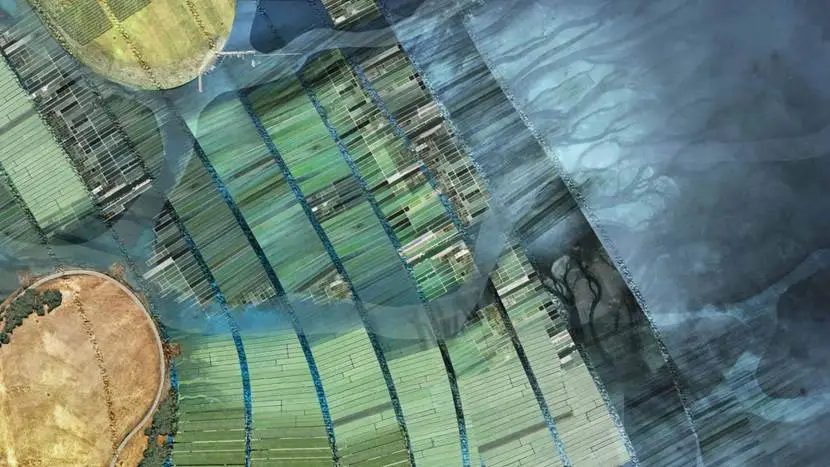 微信圖片_20260209120252_1030_85.png