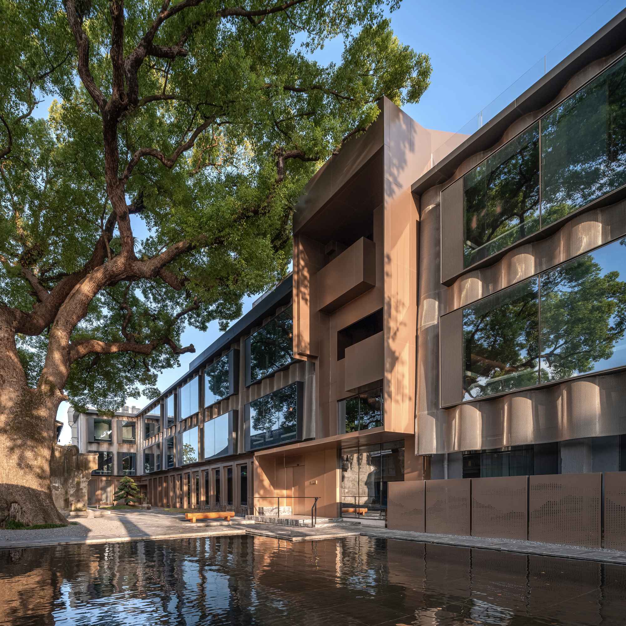 1_ 夕陽下的香樟庭院 Camphor Courtyard at Sunset ?張登星 Zhang Dengxing_1.jpg