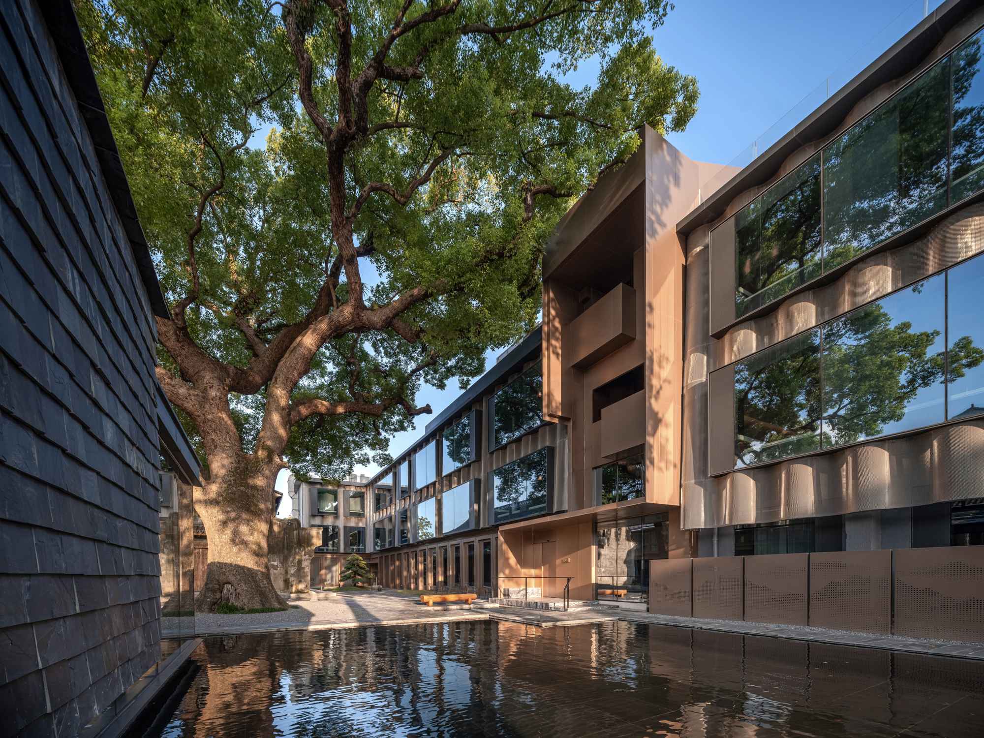 19_ 夕陽下的香樟庭院 Camphor Courtyard at Sunset ?張登星 Zhang Dengxing_16.jpg