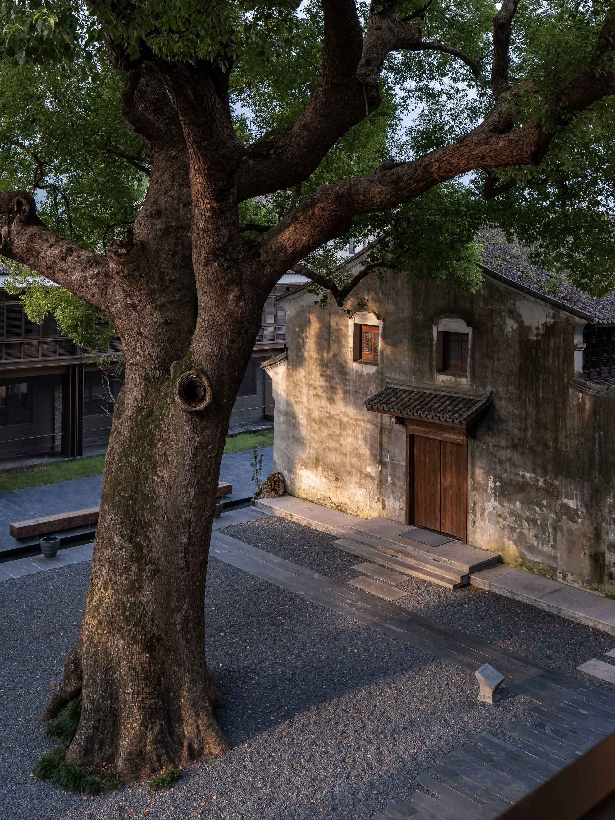 21_ 香樟與古建接待廳 Camphor Courtyard and Historic Building Reception Hall ?張登星 Zhang Dengxing_1.jpg